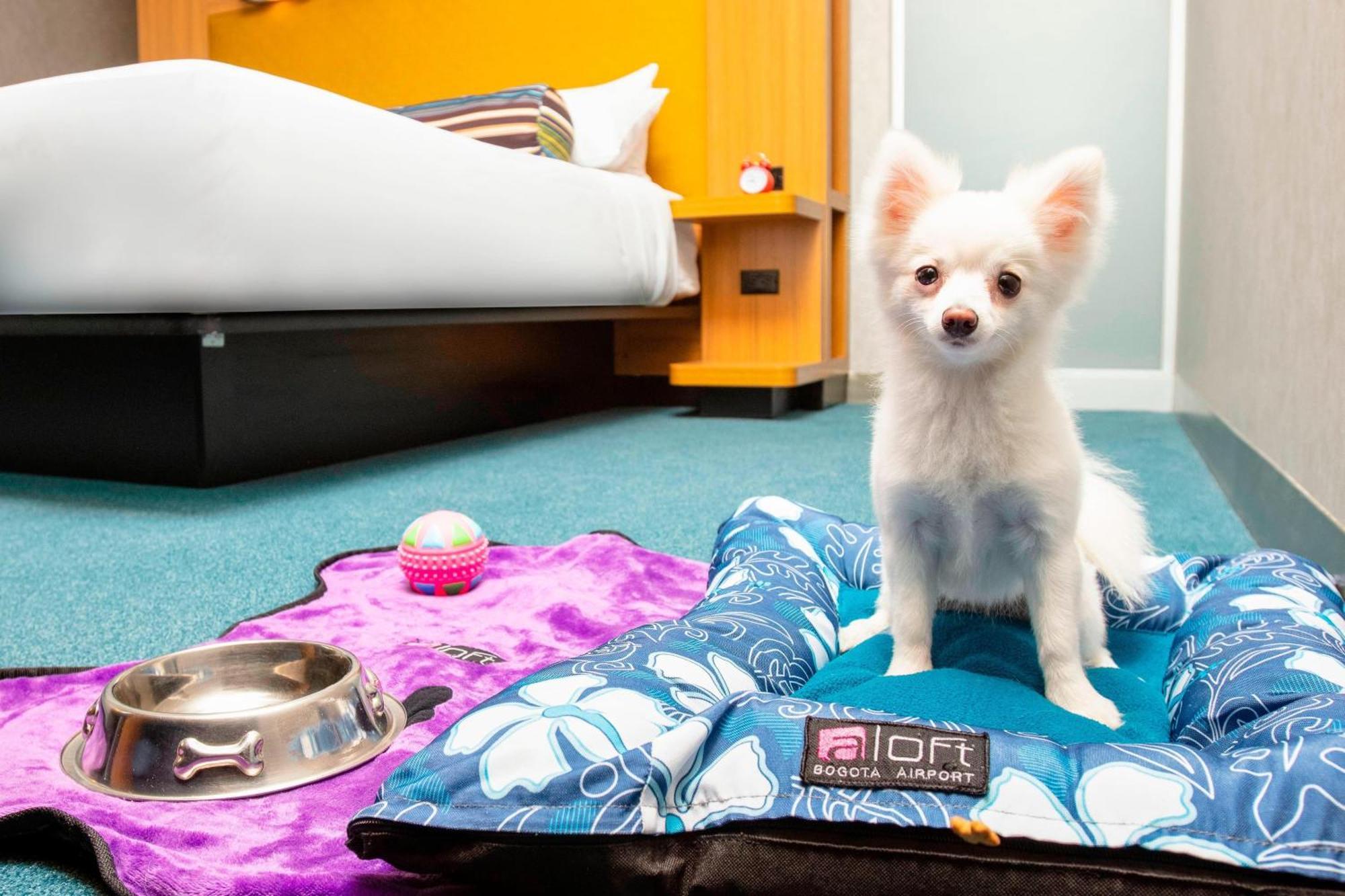 Aloft Bogota Airport Hotel Екстериор снимка